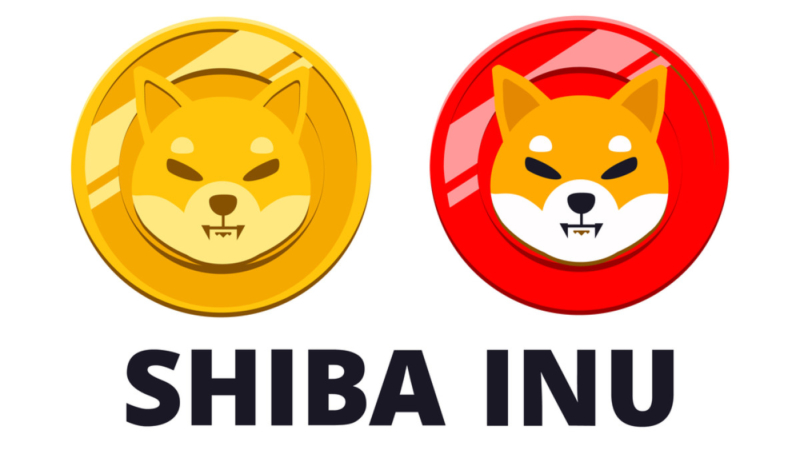 Shiba Inu (SHIB) lanzará su propia stablecoin y nuevo token de recompensa