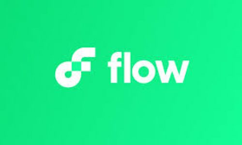El token FLOW incrementó su precio tras su integración con Instagram NFT
